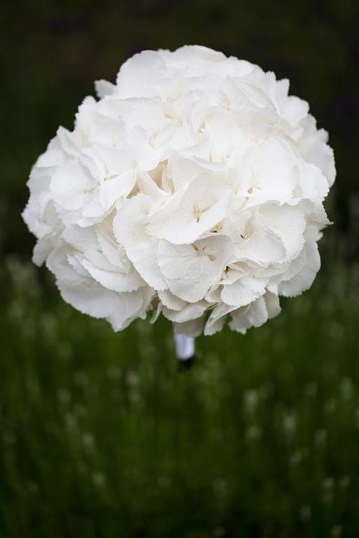 Bridebook.co.uk- composite flower bouquet white