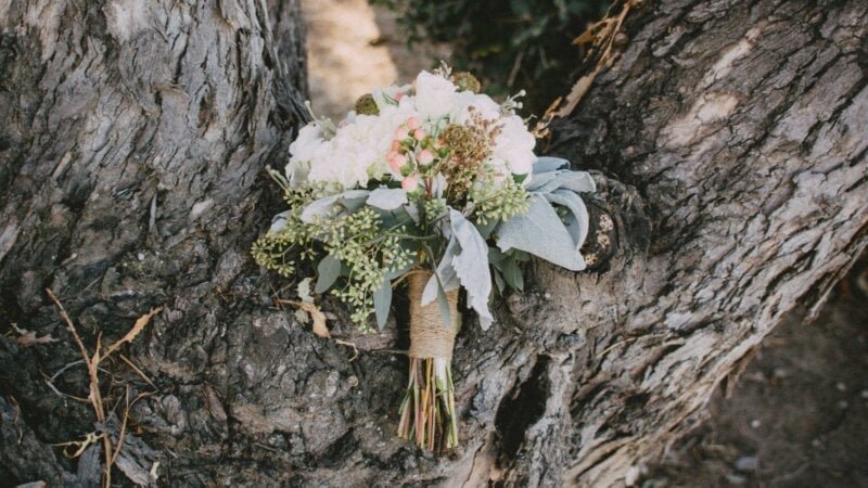 Flower bouquet on tree