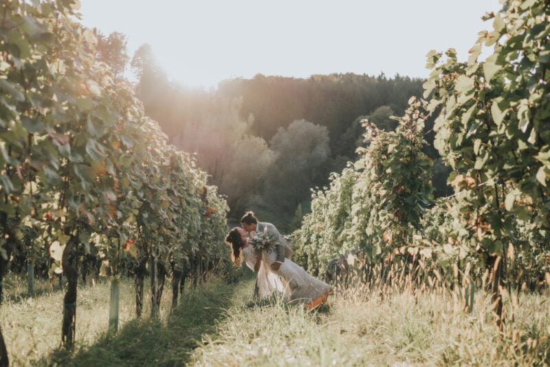 Bräutigam küsst seine Braut im Dip-Kiss zwischen sonnenbeschienenen Weinreben