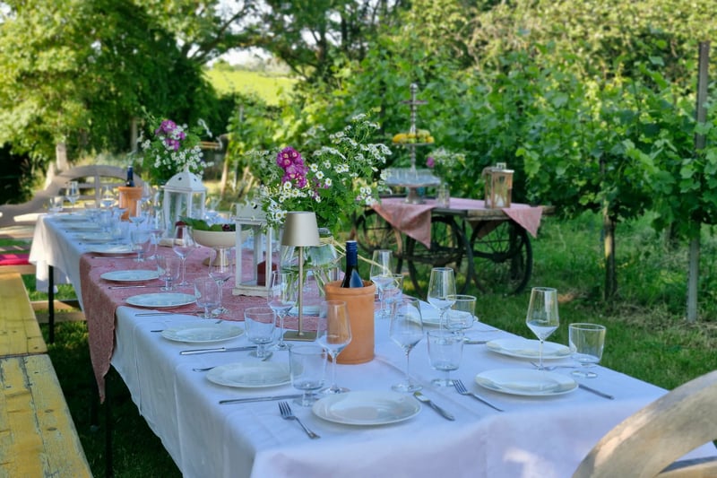 Gedeckter Tisch Bio-Weingut