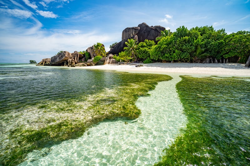 in lagoon of tropical island paradise