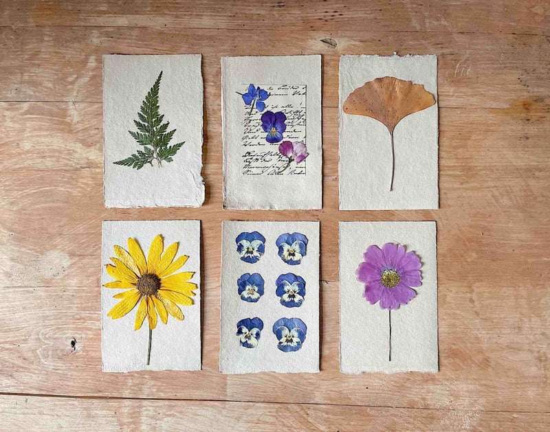 an array of beautiful pressed flowers