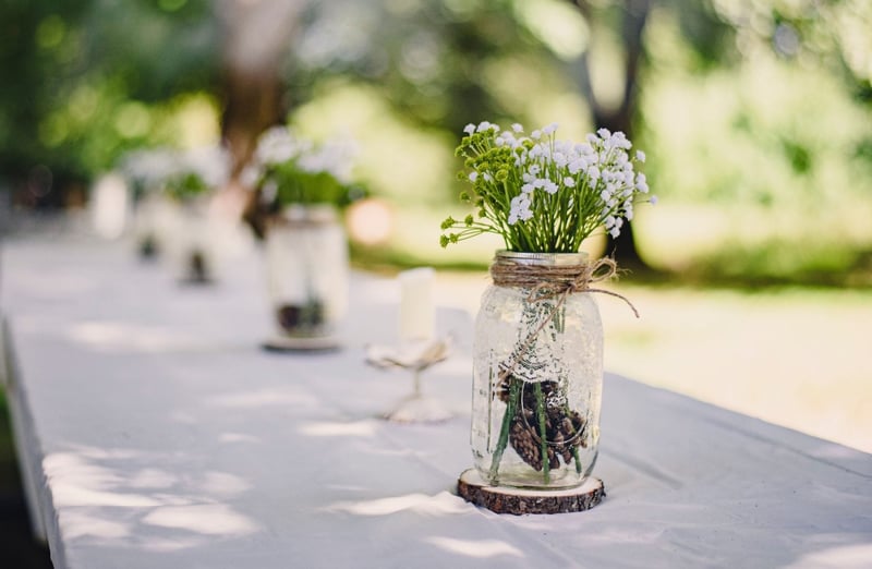 a couple stems in a glass vase on a table
