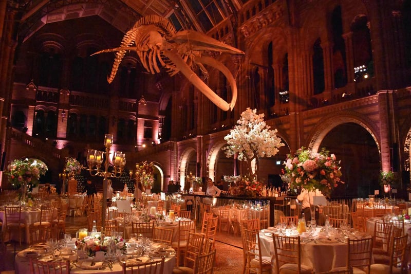 Wedding reception under the whale skeleton at the Natural History Museum
