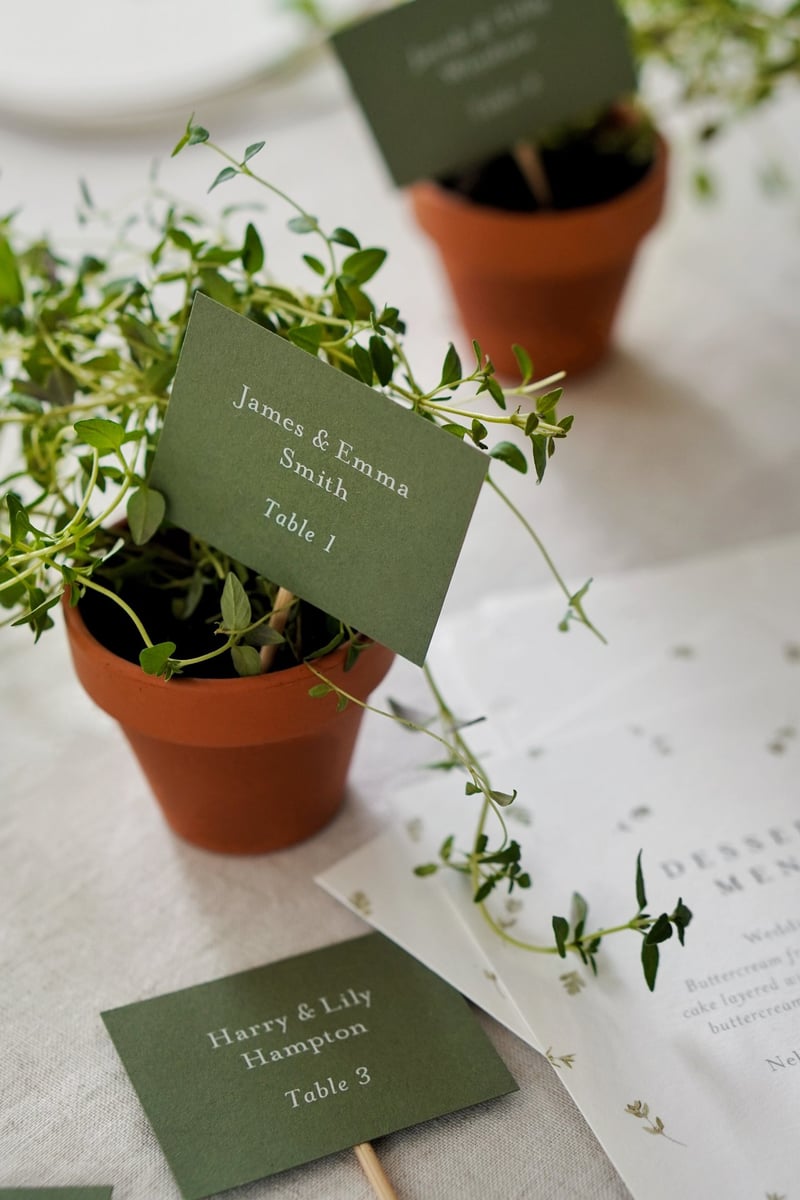 potted herbs displaying escort cards.