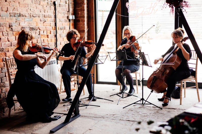 a string quartet play during a wedding drinks reception.