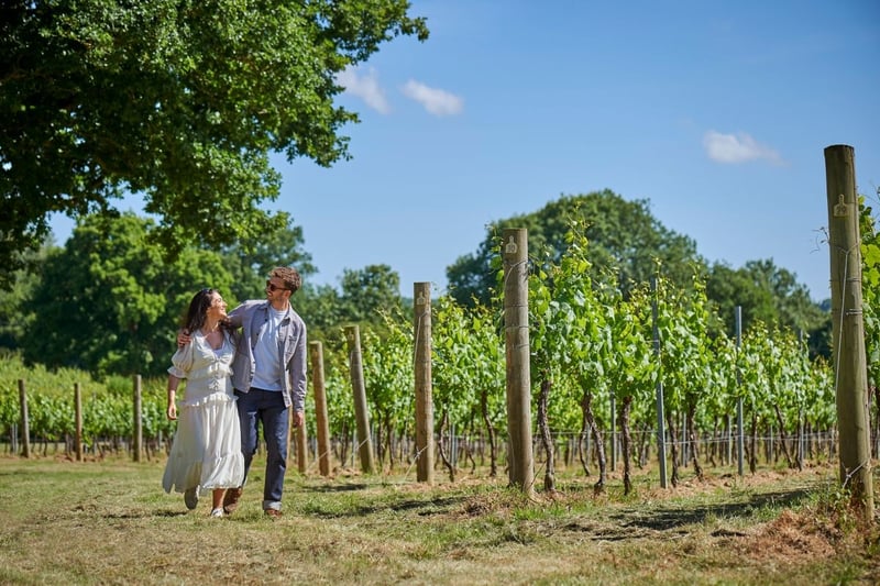 a couple walking around a UK vineyard.