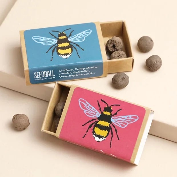 two matchboxes with bee prints containing wildflower seed bombs.