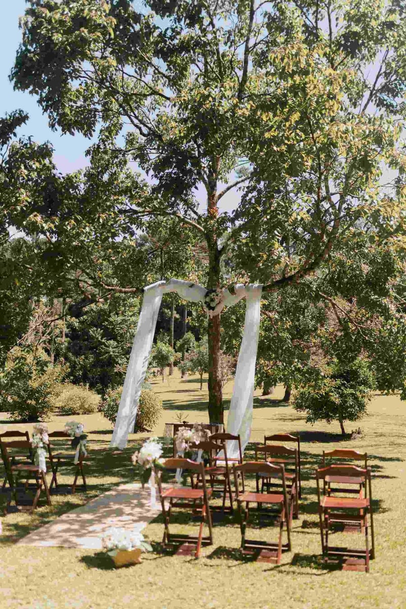 Peaceful outdoor wedding setup with chairs and decorations under a tree on a sunny day