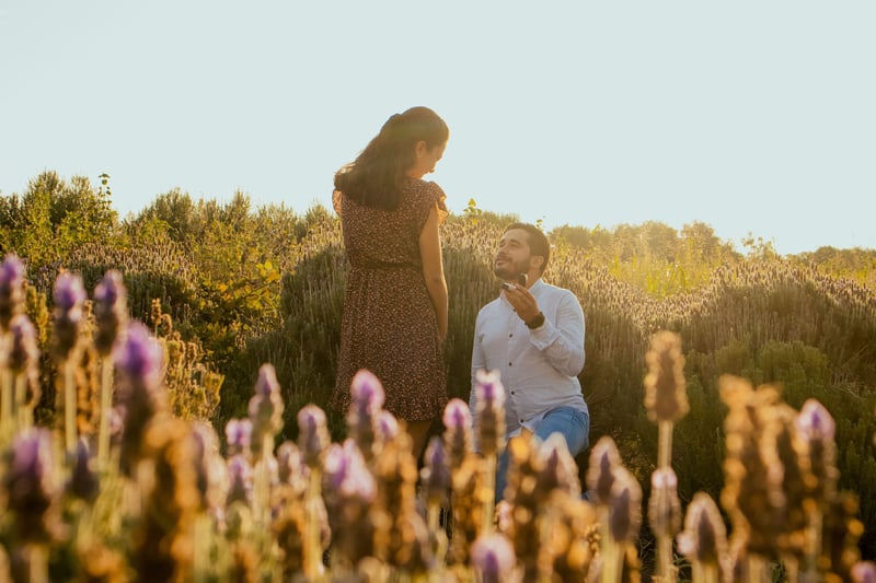 a man down on one knee in a field proposing to a woman.