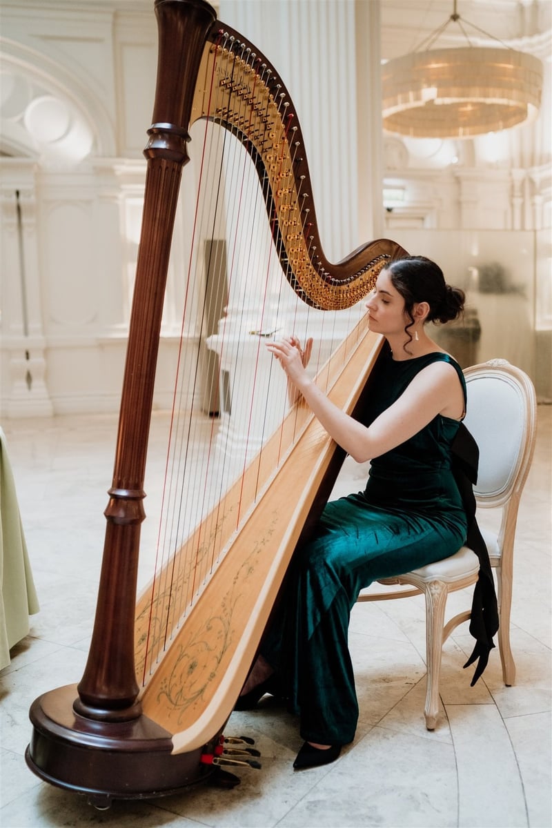 a harpist in a black-tie dress performing with her harp.