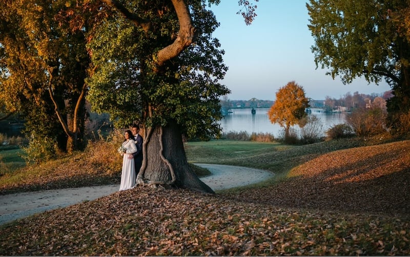Hochzeitspaar steht im Herbst gemeinsam unter einem Baum