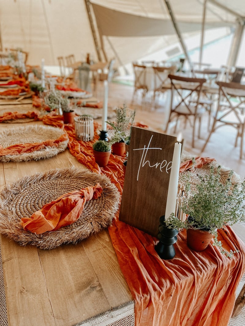 close up of a wooden wedding table with hessian place settings, an orange velvet runner, miniature potted plant centrepieces and wooden table numbers.