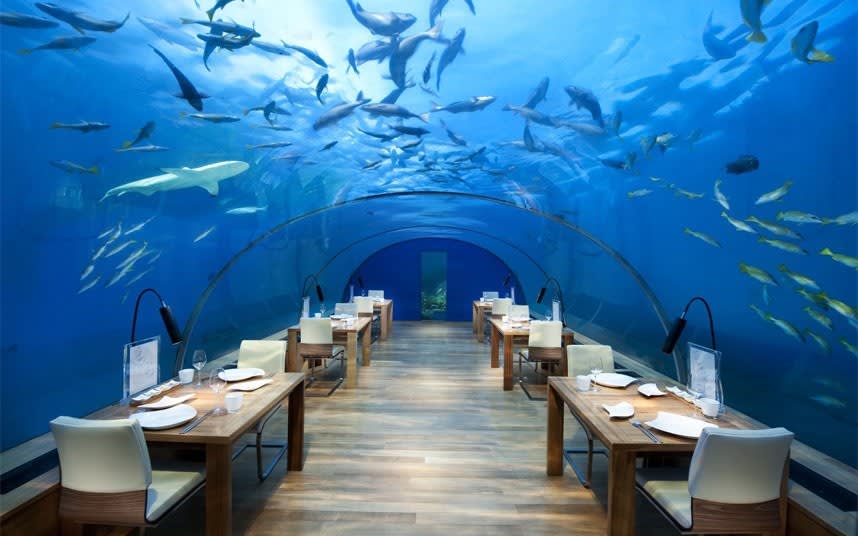 Bridebook.co.uk- underwater restaurant