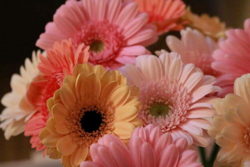 bridebook.com picture of a bunch of yellow and pink gerberas