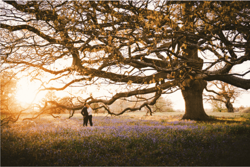Verheiratetes Paar, das im Lavendelfeld neben einem schönen Baum bei Sonnenuntergang steht