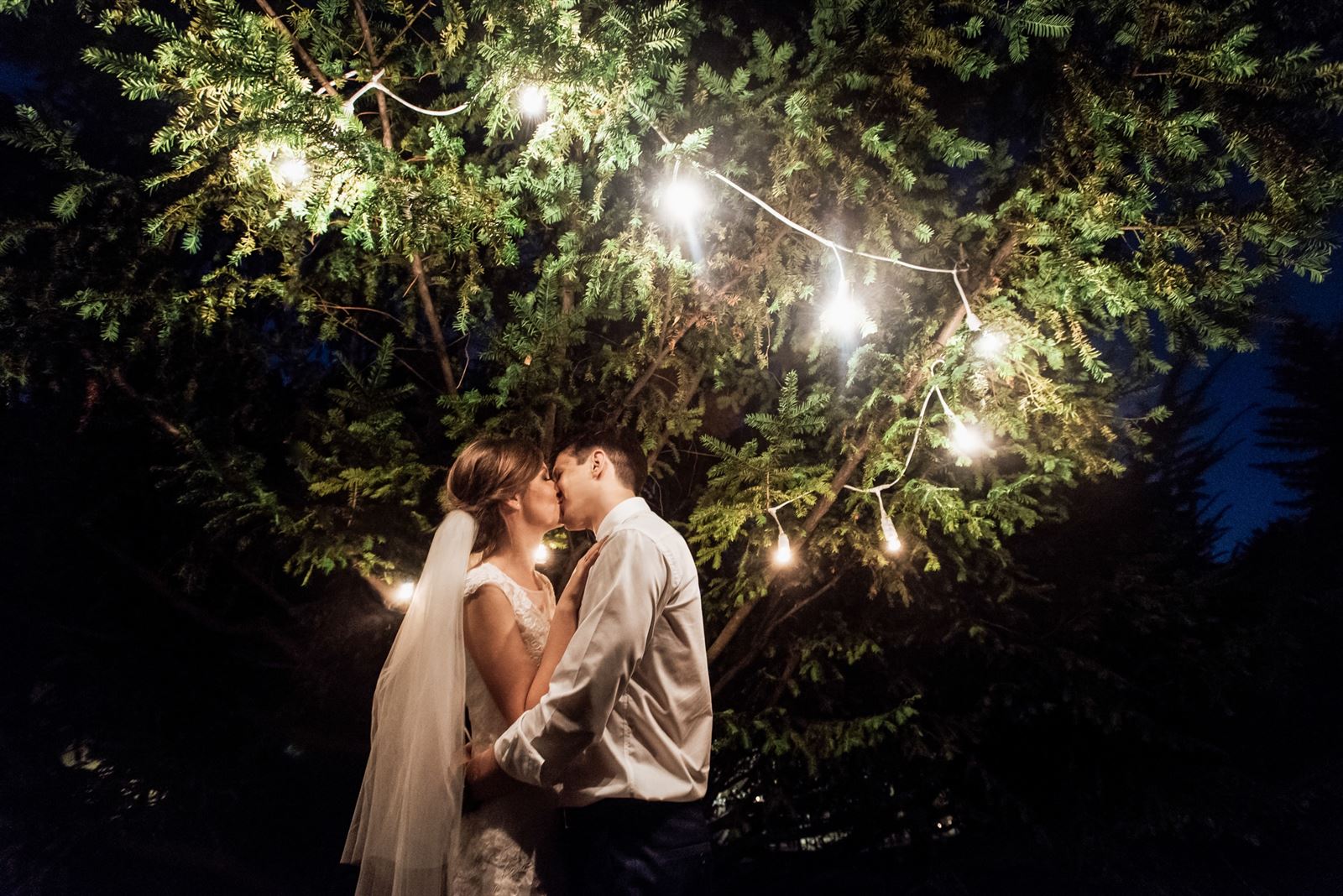Bridebook.co.uk Bride and groom kissing under fairy lights in tree