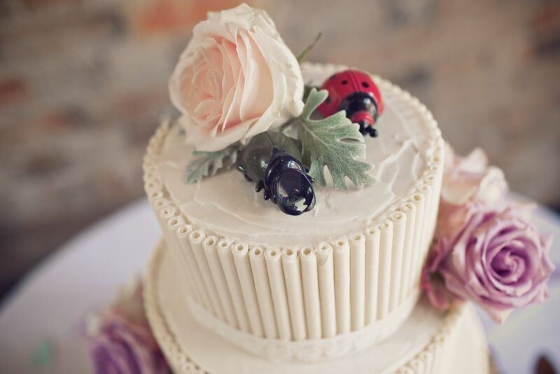 Bridebook.co.uk- lady bird and beetle cake topper