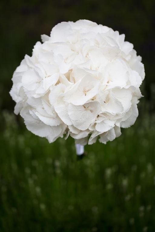 Bridebook.co.uk- composite flower bouquet white