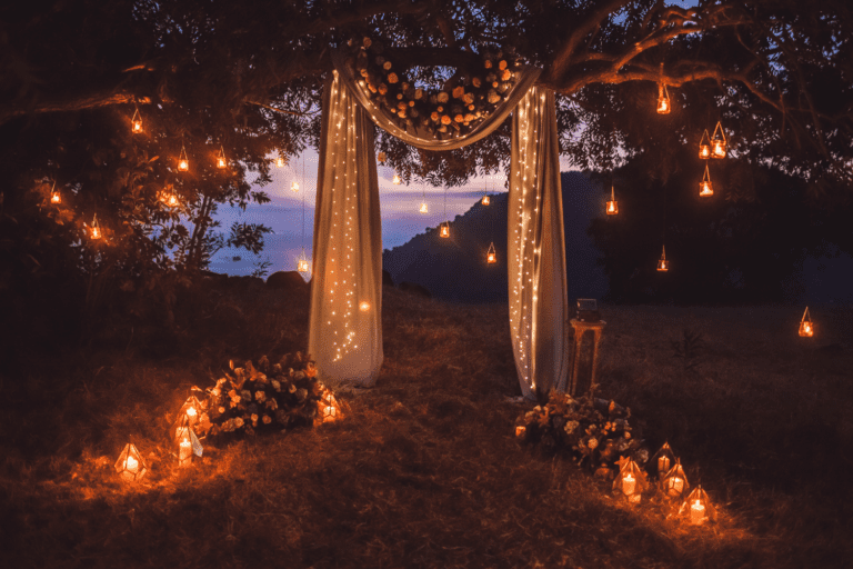 Twilight wedding with magical fairy lights