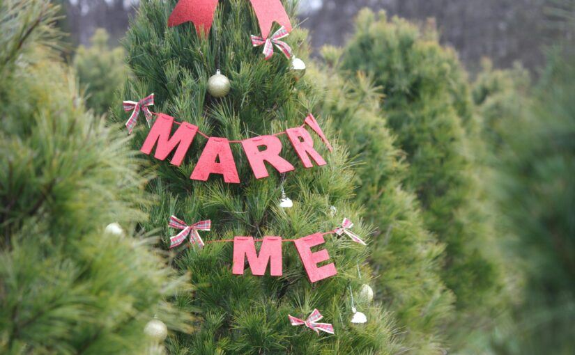 Ein Ring unterm Baum: Der Heiratsantrag an Weihnachten