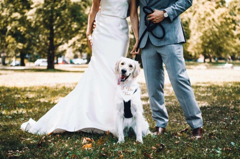 Couple de mariés et leur chien