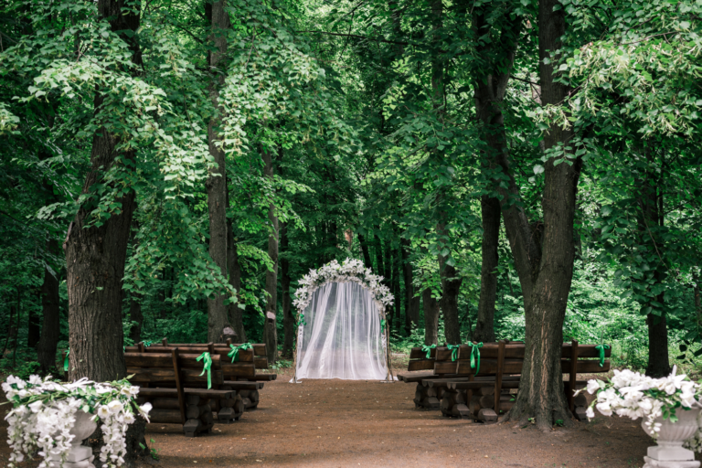 Arche de mariage dans la forêt