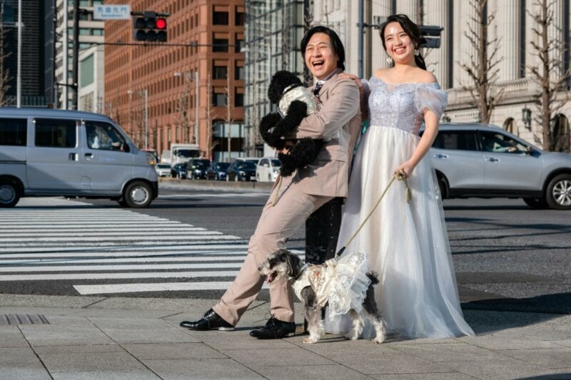 Couple de jeunes mariés avec leurs chiens