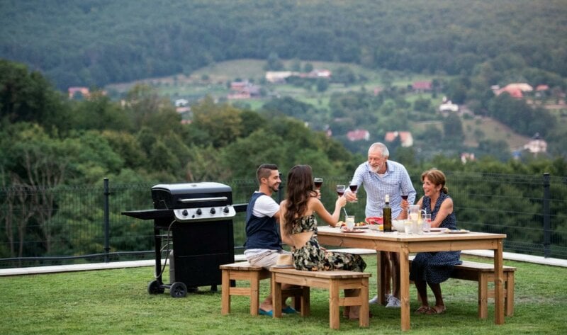 Informal engagement party in a garden