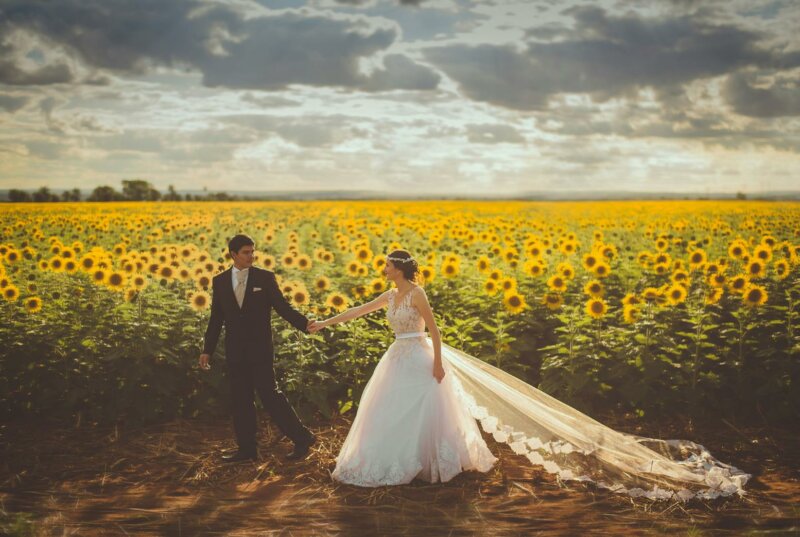 Married couple in a sunflower field