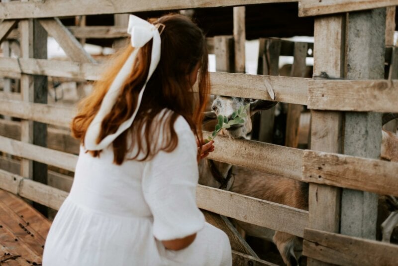 Petite fille en robe de cérémonie en train de caresser une chèvre