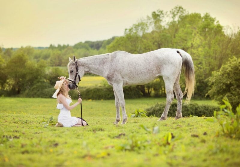 Mariée avec un cheval dans un champ