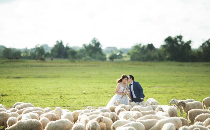 7 ans de mariage : Idées cadeau pour fêter vos noces de laine