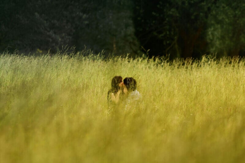 Couple caché dans un champ de blé