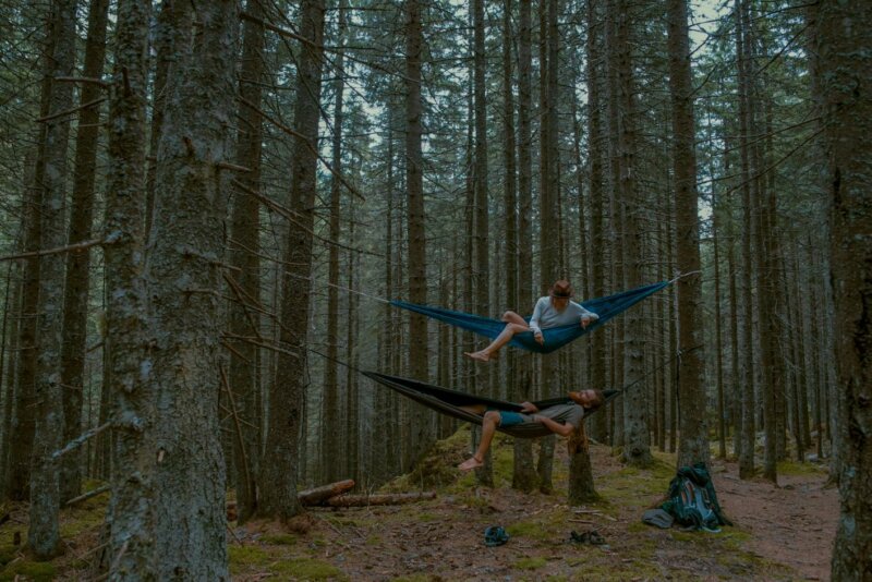 Couple sur des hamacs dans la forêt