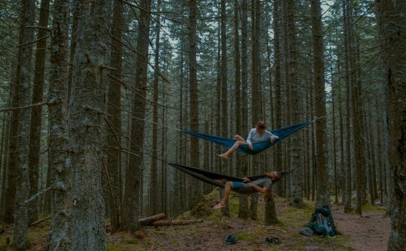 Couple sur des hamacs dans la forêt