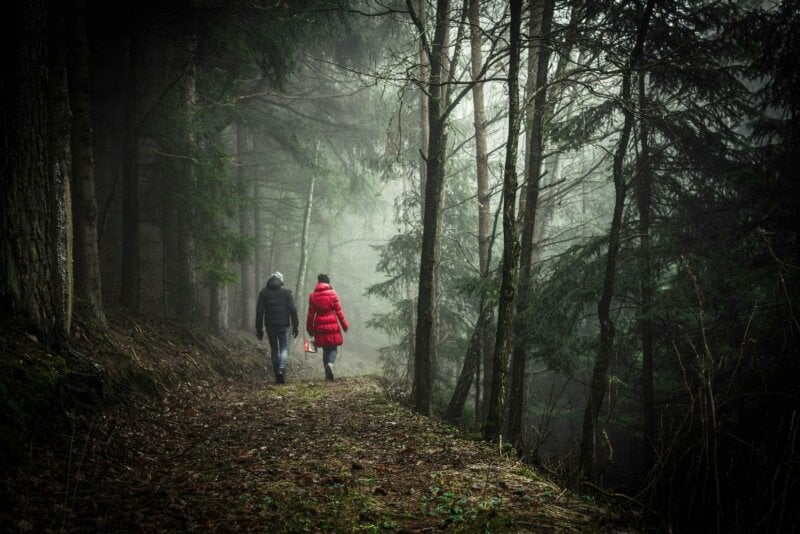 Couple dans une forêt brumeuse