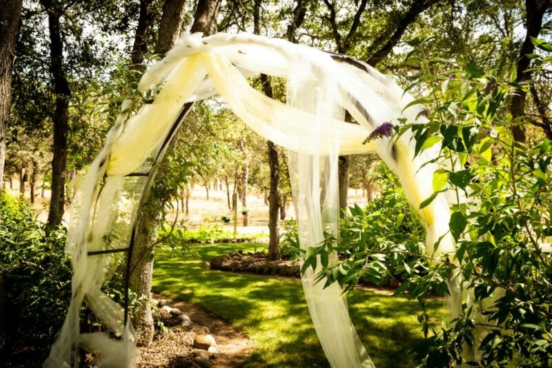 Arche de mariage dans la nature