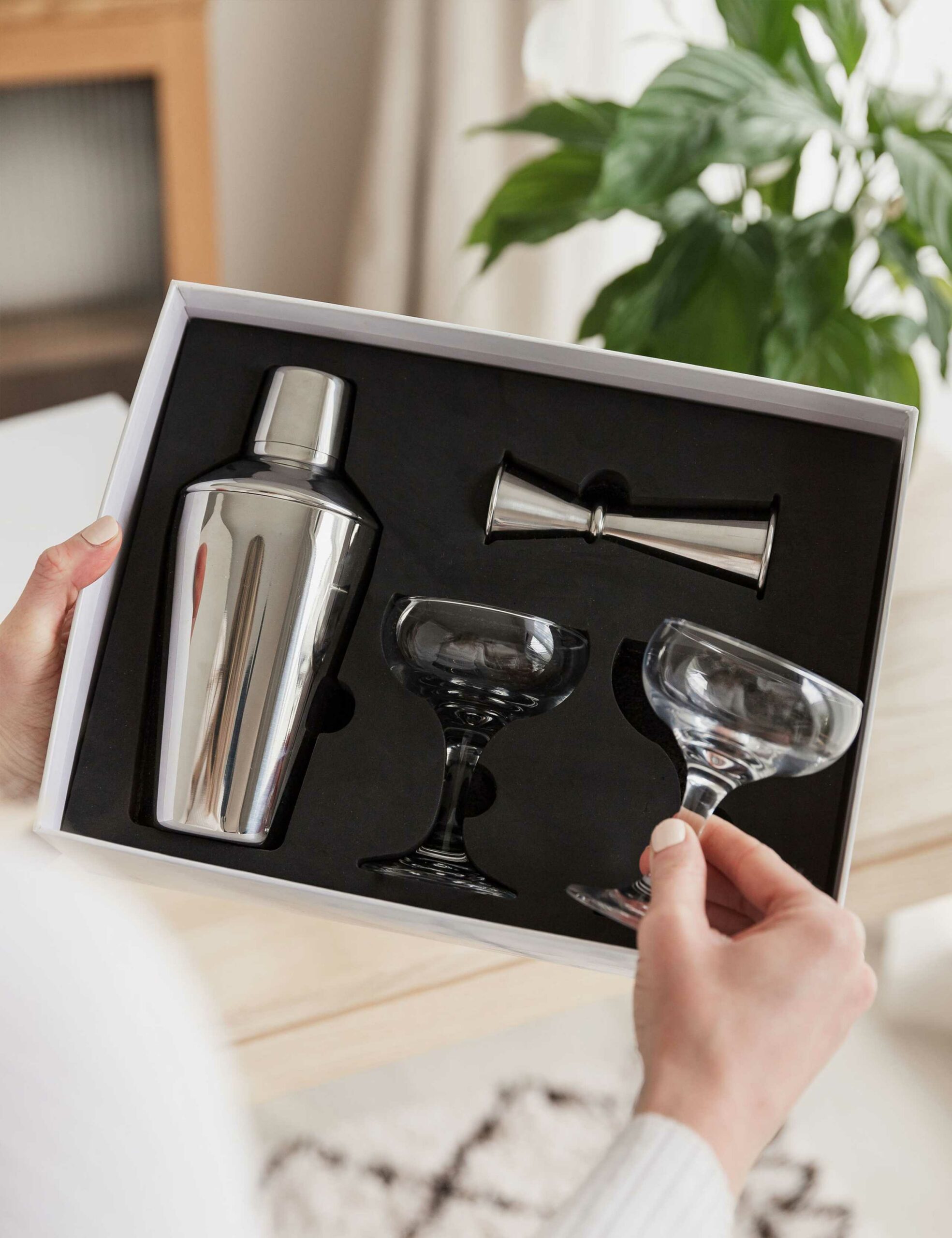 Stainless steel cocktail shaker kit with two glasses