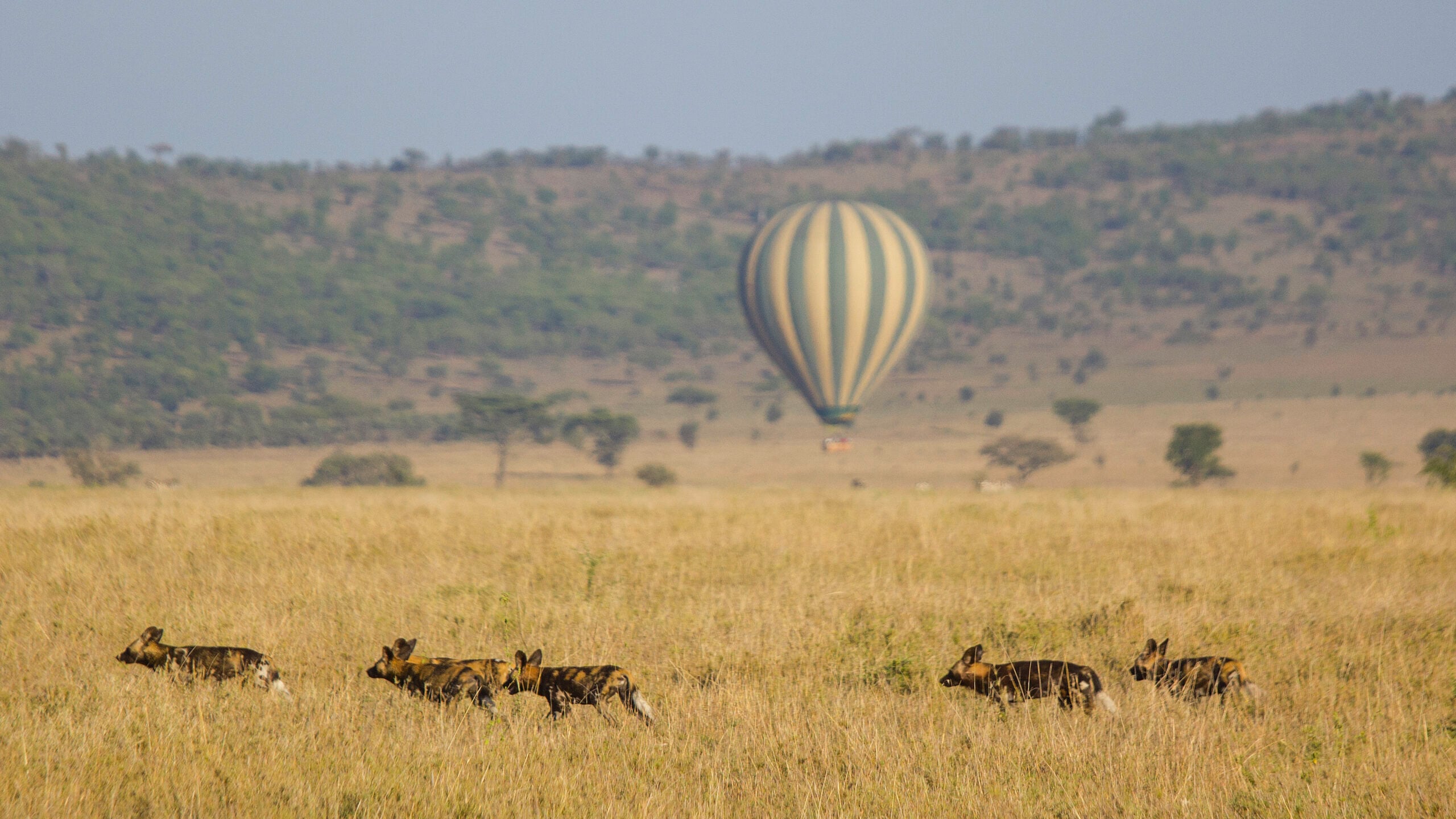 Hot air balloon safari tanzania honeymoon