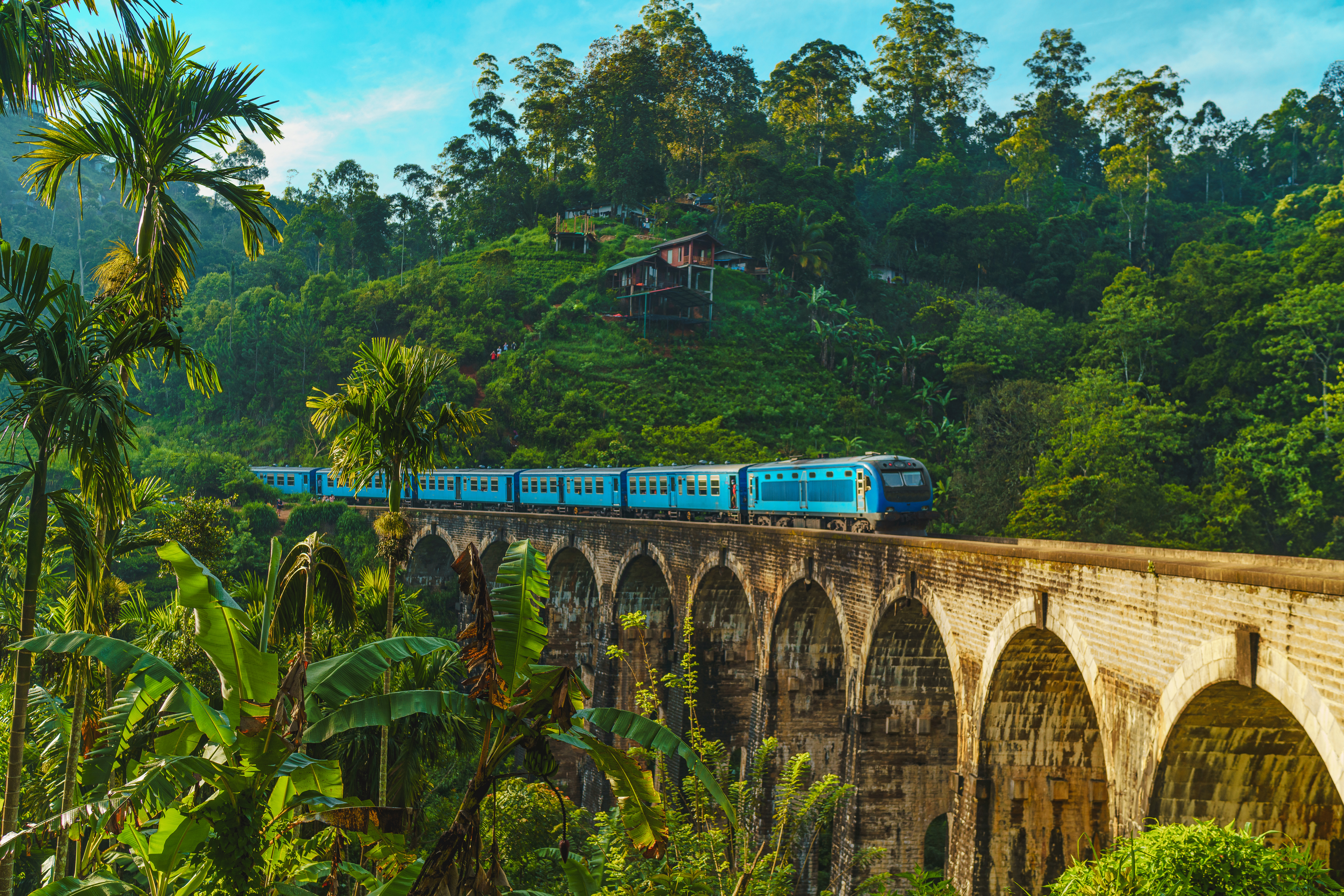 Train passing over Nine Arch Bridge