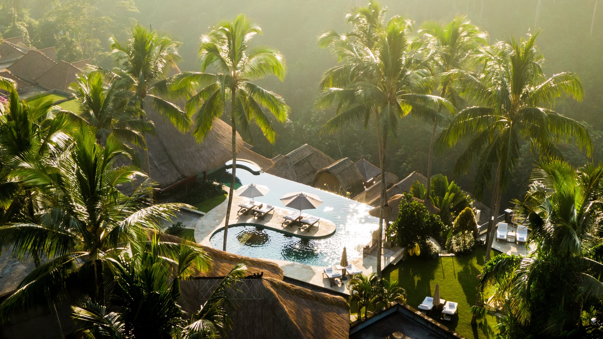 Viceroy in Bali's main pool surrounded by palm trees