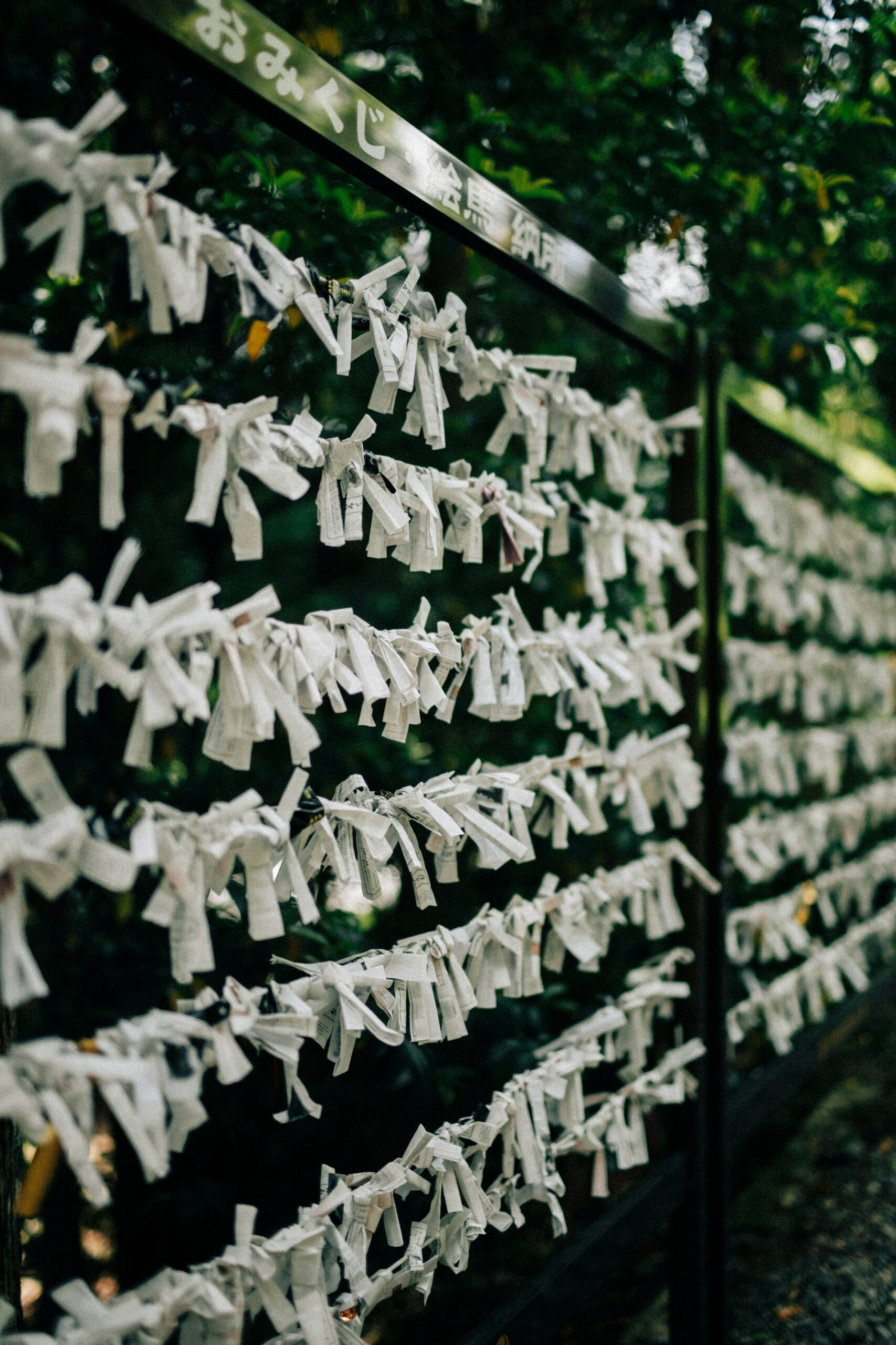 A wedding seating chart displayed in front of a hedge